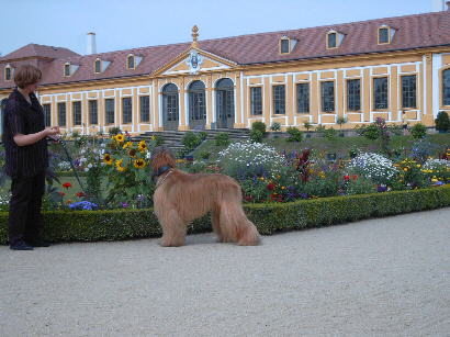 Barockgarten Grosedlitz