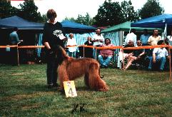 JAS Afghanen 2003 Foto Copyright Hansjrgen Kempe